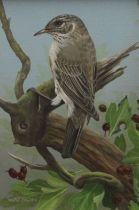 CHRISTOPHER WATSON (20th century) British, Spotted Flycatcher, oil on canvas, framed. 15.5 x 11.