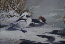 Two limited edition prints of ducks (Smew and White Faced Whistling Ducks) and two other prints,