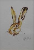 A Portrait of a Brown Hare, watercolour, indistinctly signed, framed and glazed. 19.5 x 28.5 cm.