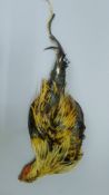 A taxidermy specimen of a preserved hanging game cockerel (Gallus gallus domesticus). 46 cm long.
