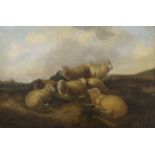 19TH CENTURY SCHOOL, Sheep in a Landscape, oil on re-lined canvas, framed. 75 x 49.5 cm.