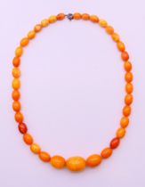 An amber bead necklace. 45 cm long. 24.6 grammes total weight.