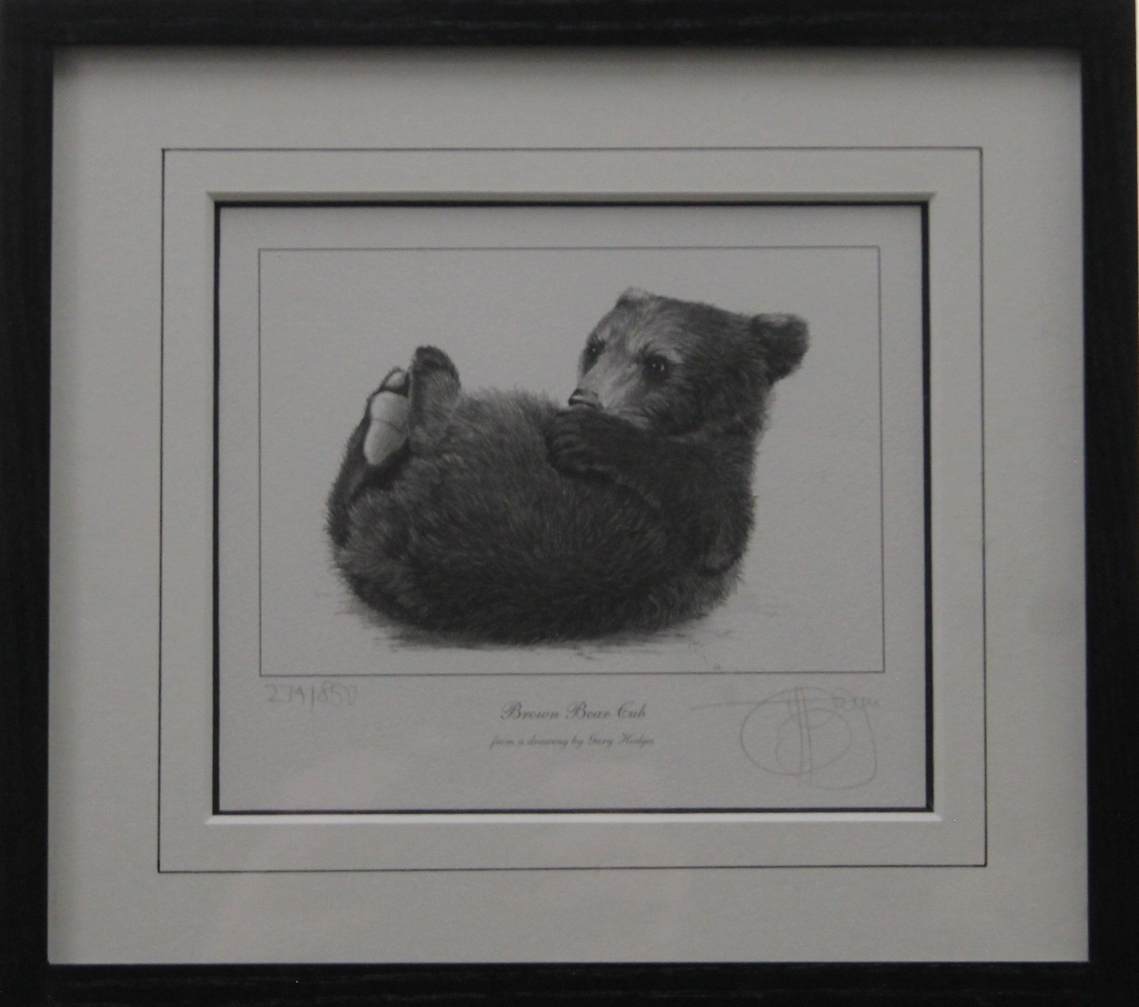 GARY HODGES, Jackass Penguin, limited edition print, numbered 605/830, signed in pencil to margin, - Image 6 of 9