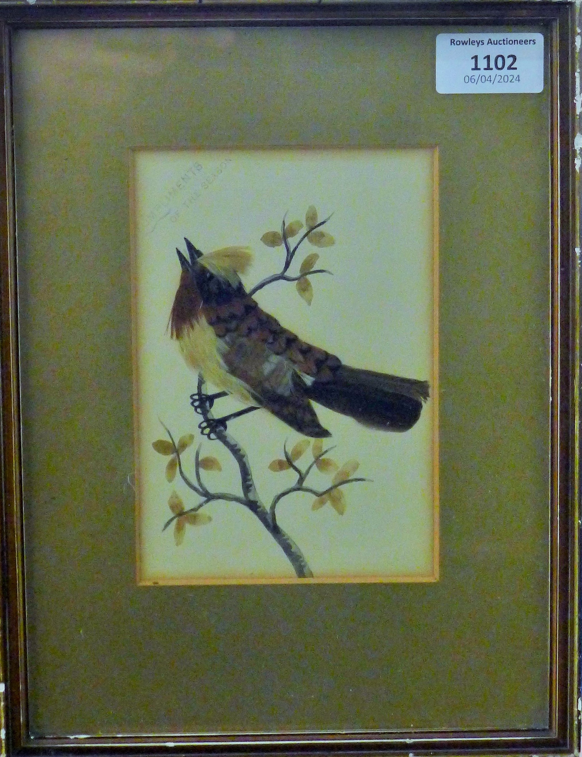 A Victorian watercolour and feather picture of a bird, framed and glazed. 10.5 x 15.5 cms. - Image 2 of 2