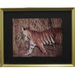 Tiger carrying cub, photographic print,