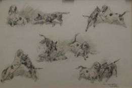 T IVESTER LLOYD (1873-1942) British, Dogs, pencil sketches, framed and glazed. 42 x 28.5 cm.