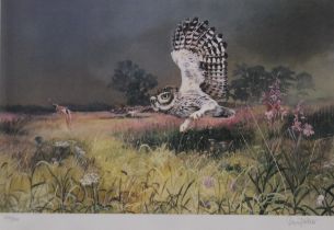 DAWN FEATHER, Little Owl and Hawk Moth, limited edition print, numbered 122/500,