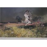 DAWN FEATHER, Little Owl and Hawk Moth, limited edition print, numbered 122/500,