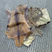A leopard skin rug and another animal skin rug. The latter 103 cm long.