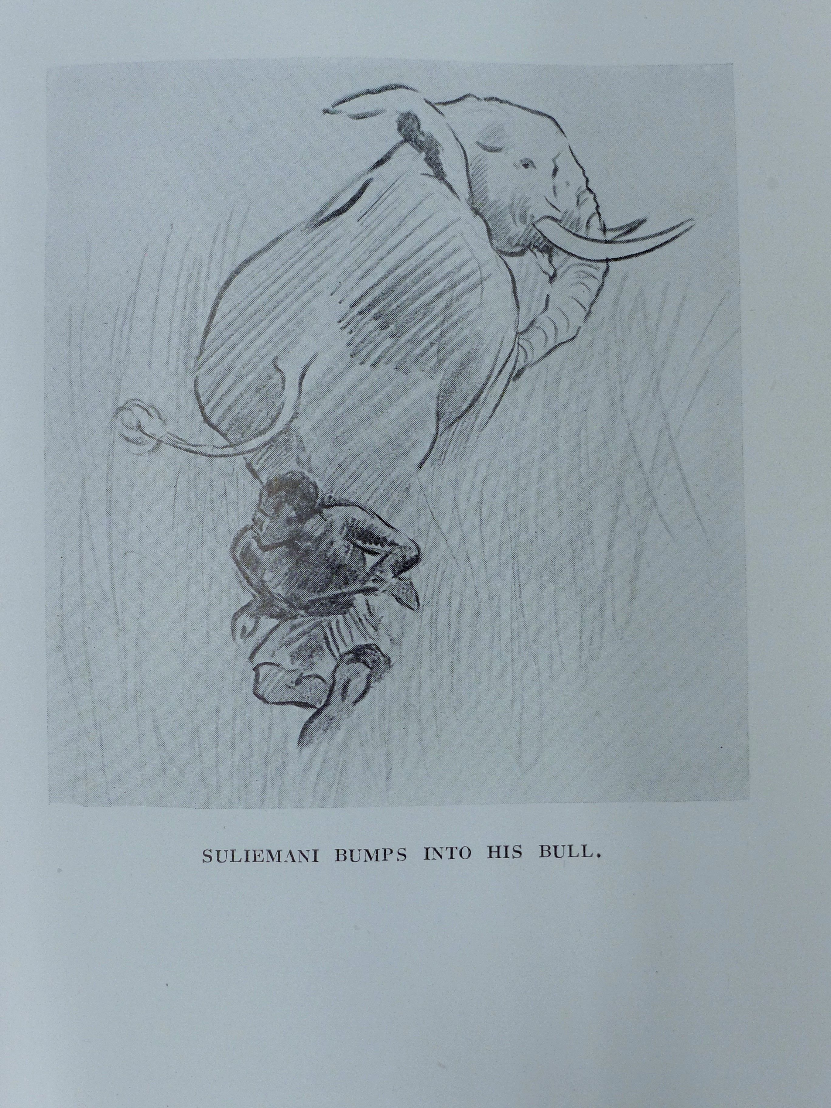 W D M Bell, The Wanderings of an Elephant Hunter, 1933, first edition. - Image 6 of 7