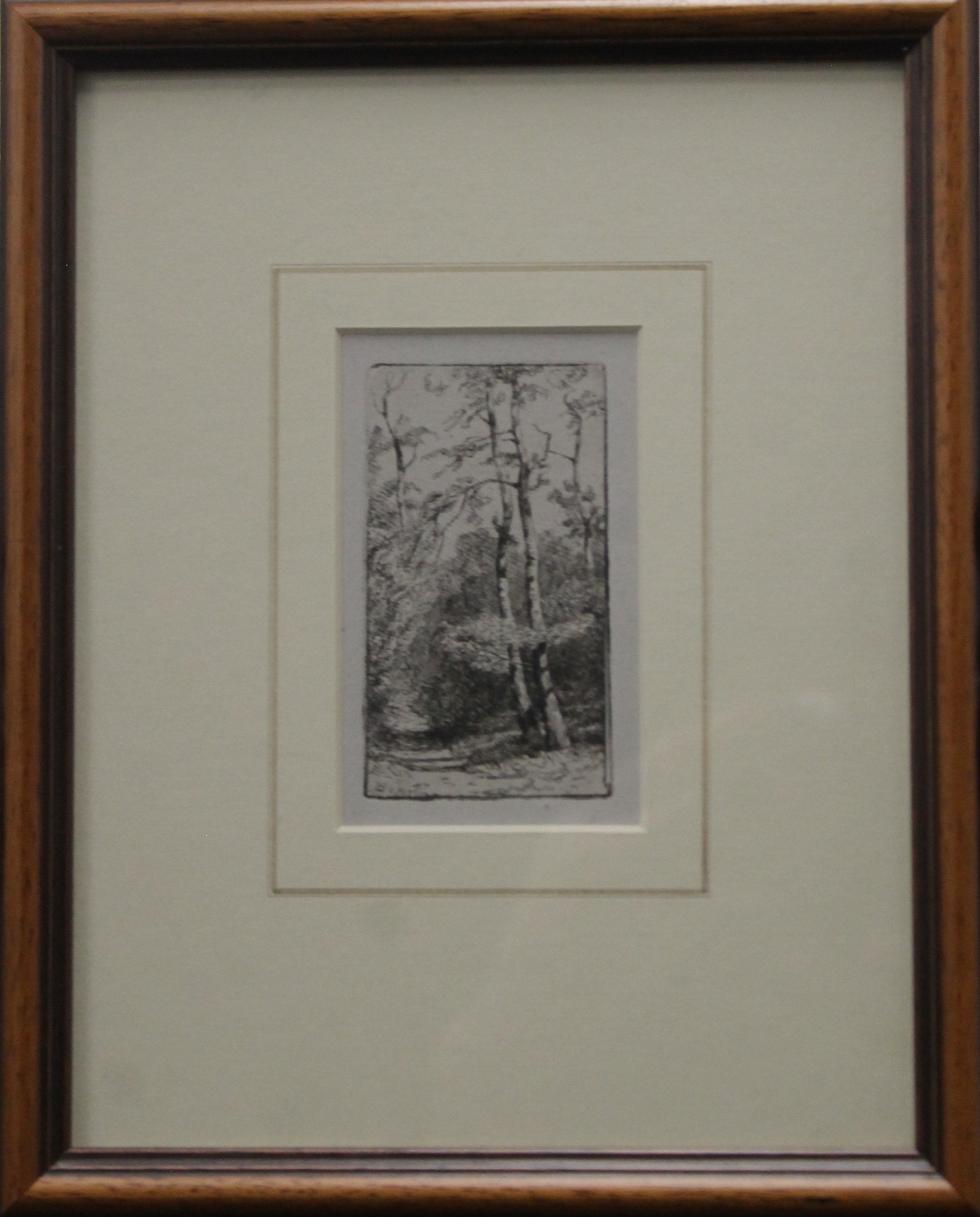 N WARD, Woodpile Whitwell Hall, limited edition etching, numbered 26/42, - Image 3 of 7