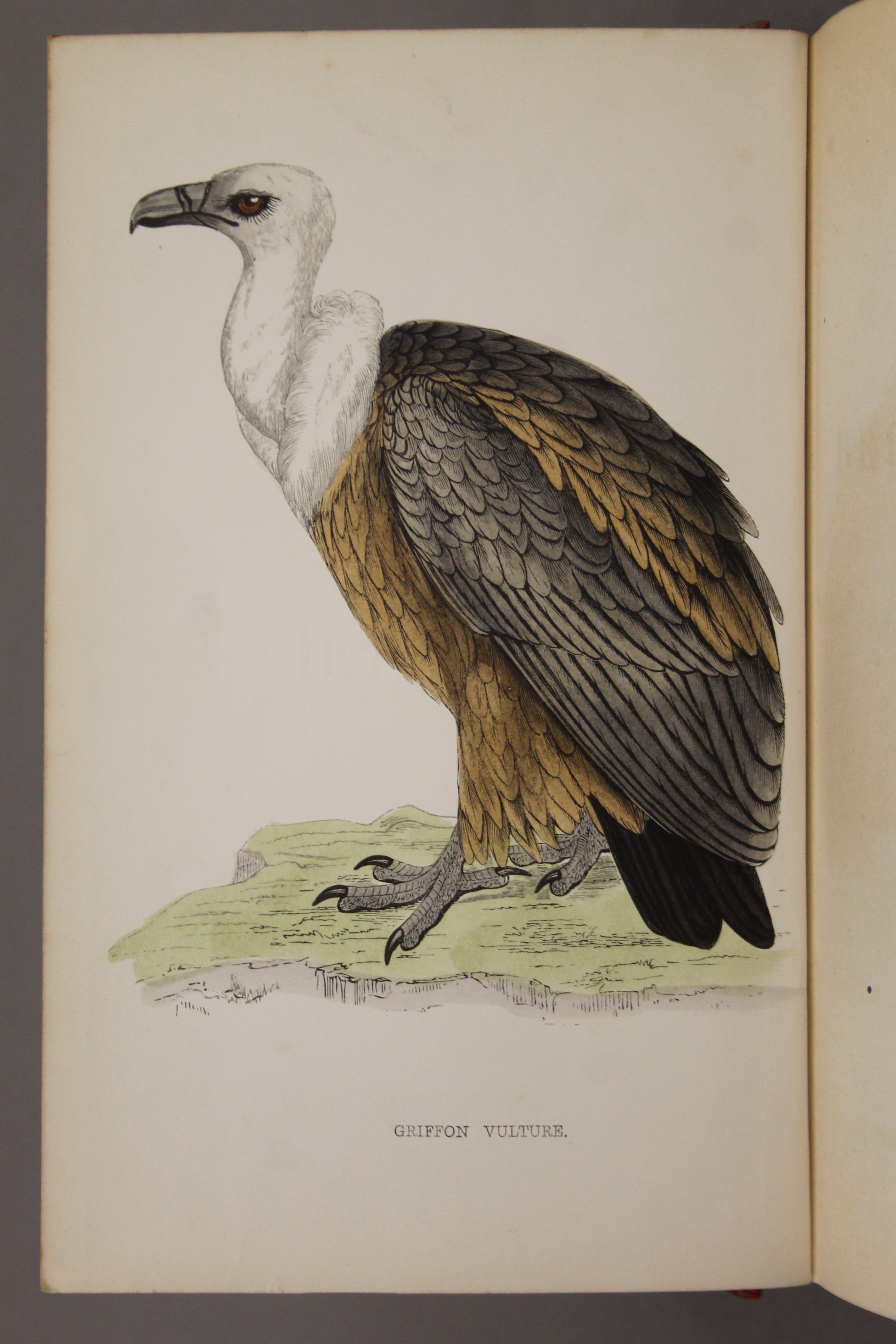 Eight volumes of A History of British Birds by the Rev F O Morris BA, - Image 9 of 12