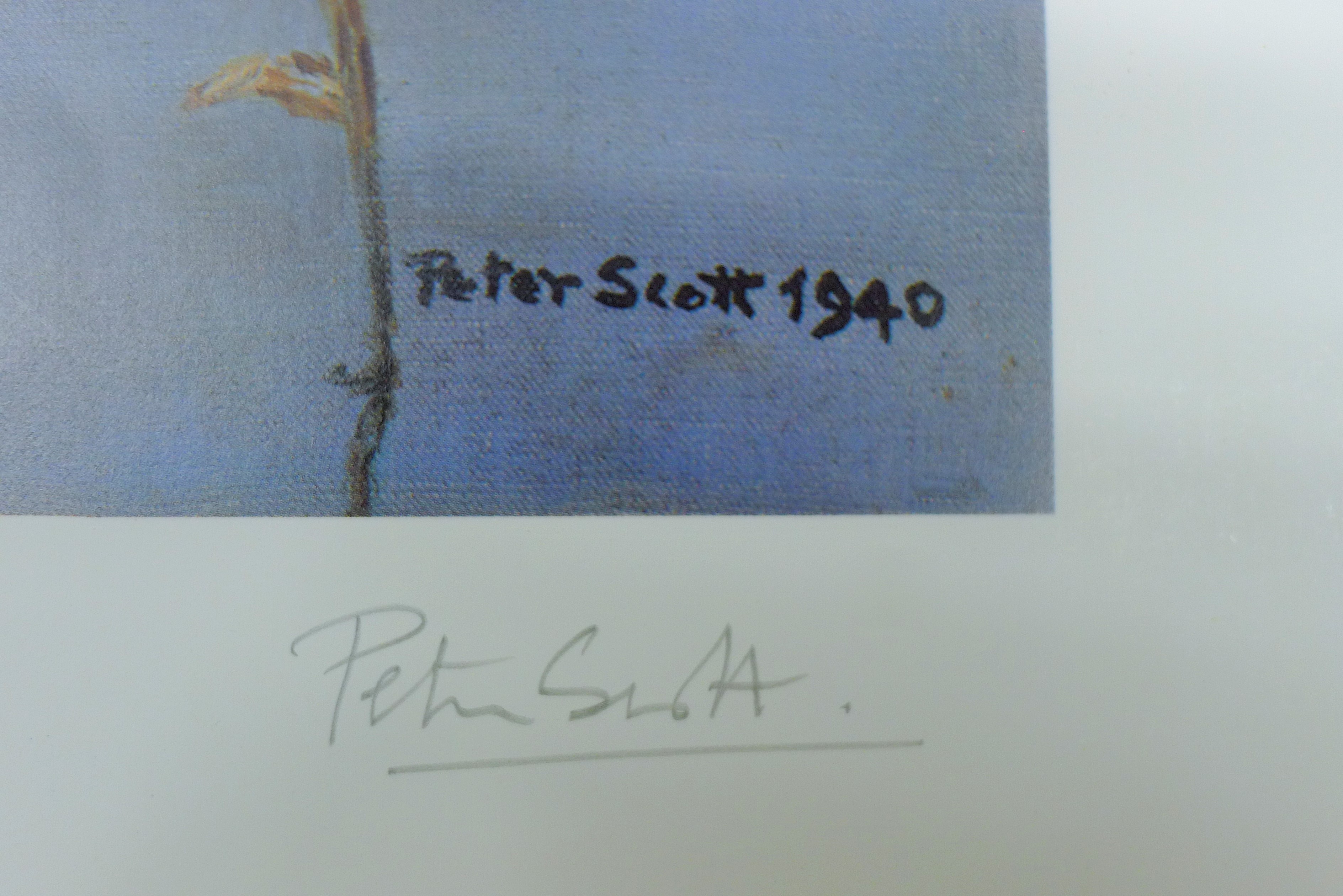 SCOTT, SIR PETER (1909-1989) British (AR - Image 3 of 4