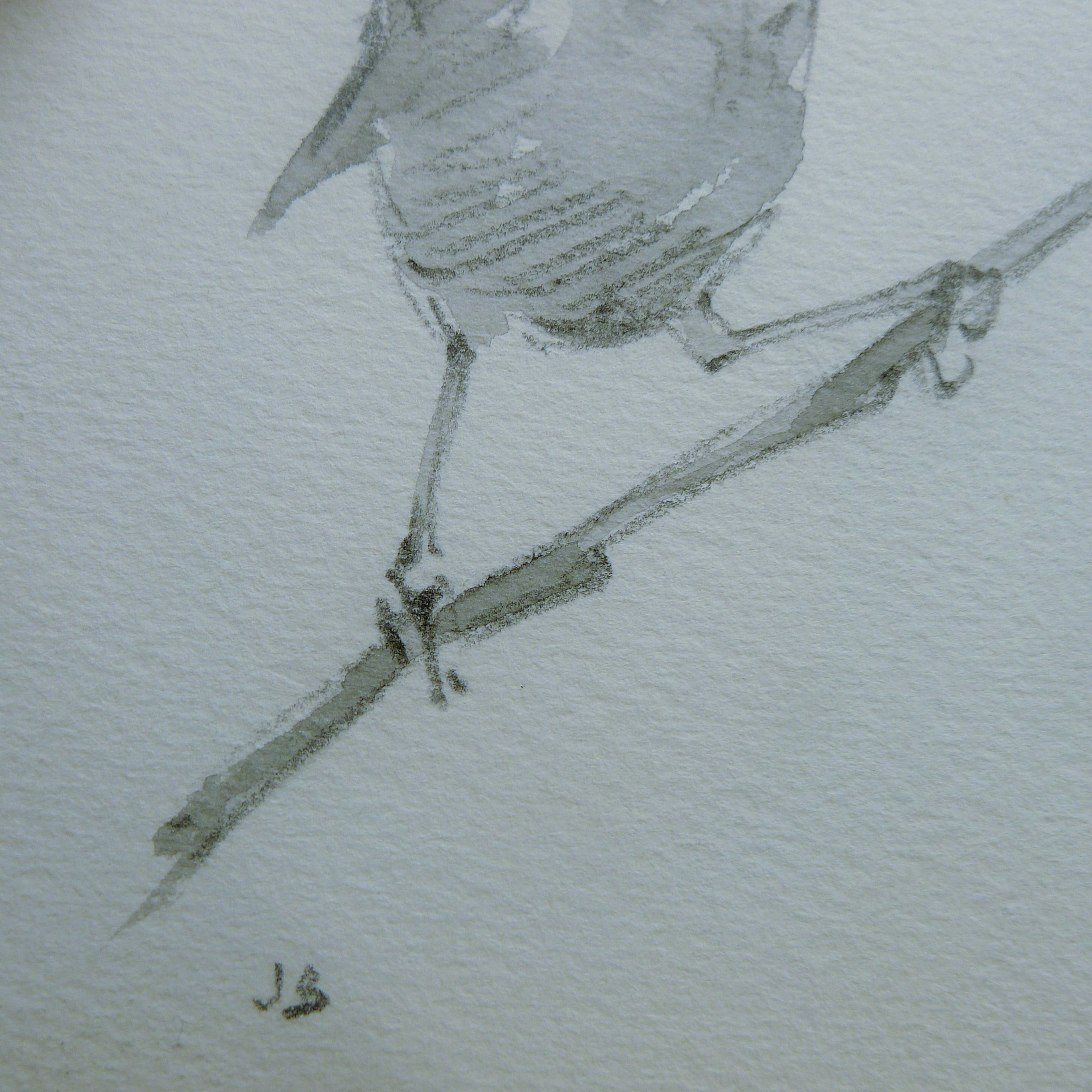 BUSBY, JOHN (1928-2015) British (AR), Seven Sketches of Birds, pencil, all signed or initialled. - Image 13 of 22