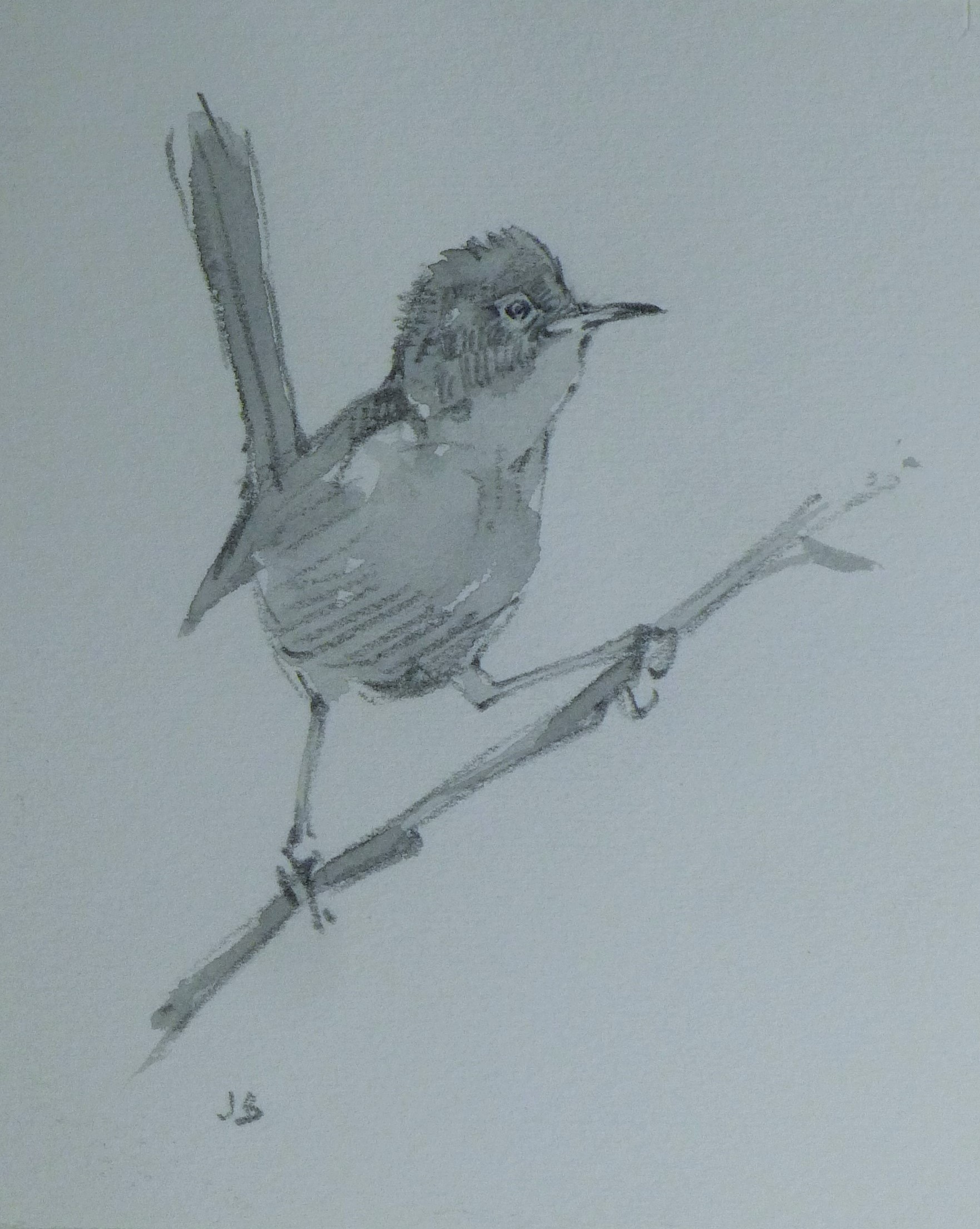 BUSBY, JOHN (1928-2015) British (AR), Seven Sketches of Birds, pencil, all signed or initialled. - Image 11 of 22
