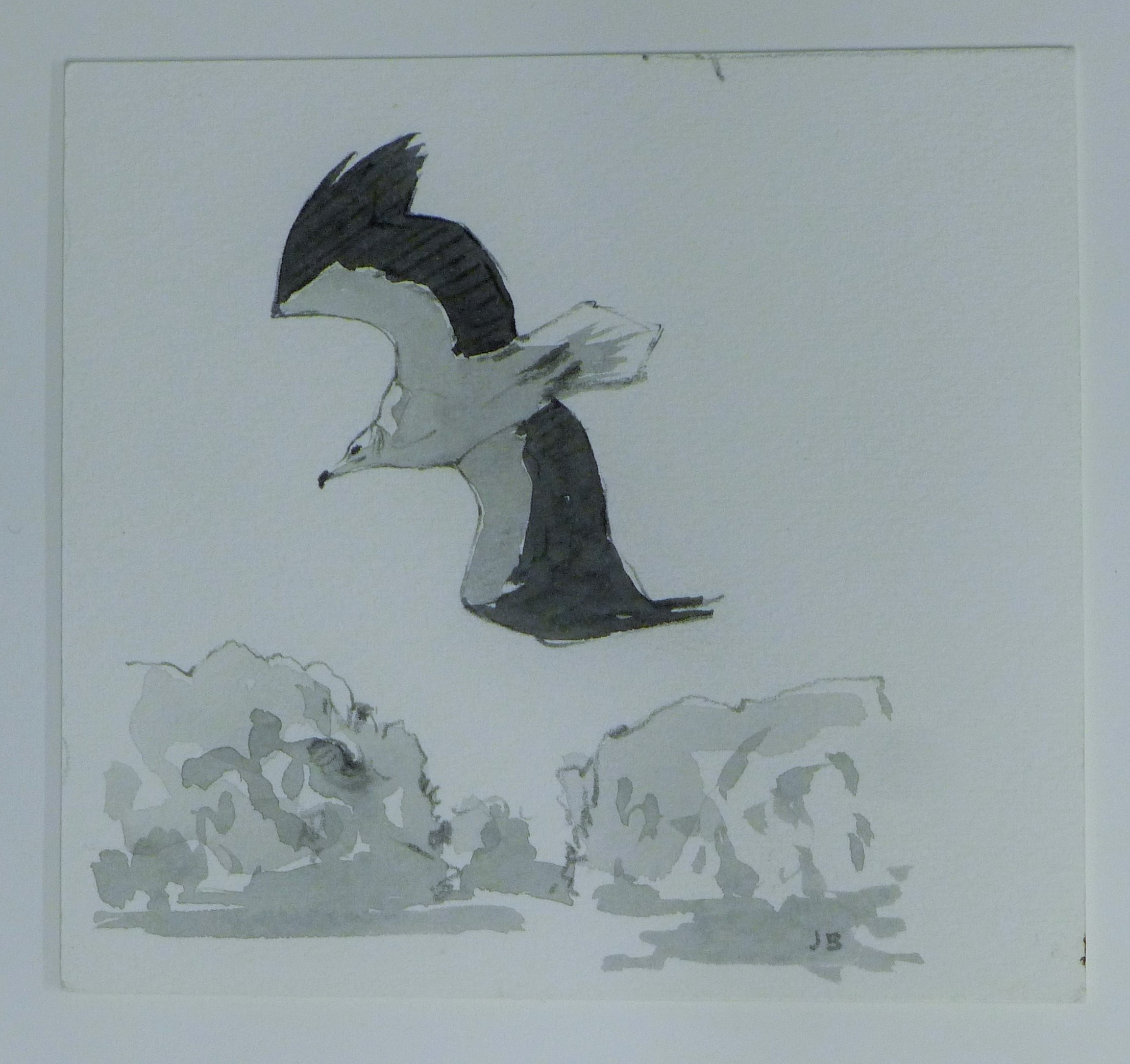 BUSBY, JOHN (1928-2015) British (AR), Seven Sketches of Birds, pencil, all signed or initialled. - Image 6 of 22