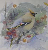 DALY, DAVID (20th century) British (AR), Waxwing, watercolour, signed. 23 cm x 21 cm.