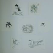 BUSBY, JOHN (1928-2015) British (AR), Seven Sketches of Birds, pencil, all signed or initialled.