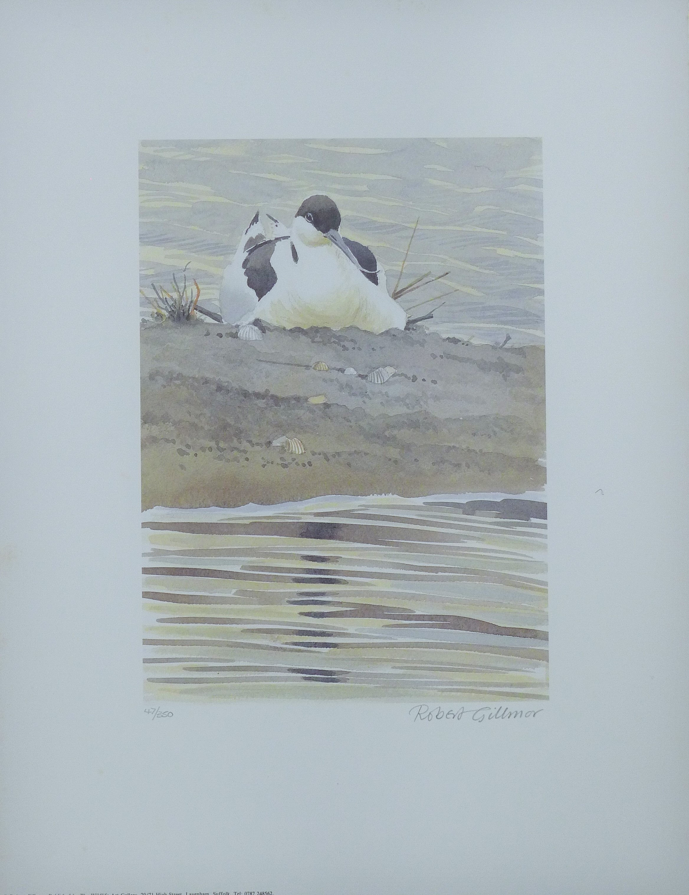 GILLMOR, ROBERT (1936-2022) British (AR), Brooding Avocet, print, signed and numbered 47 of 350, - Image 2 of 4