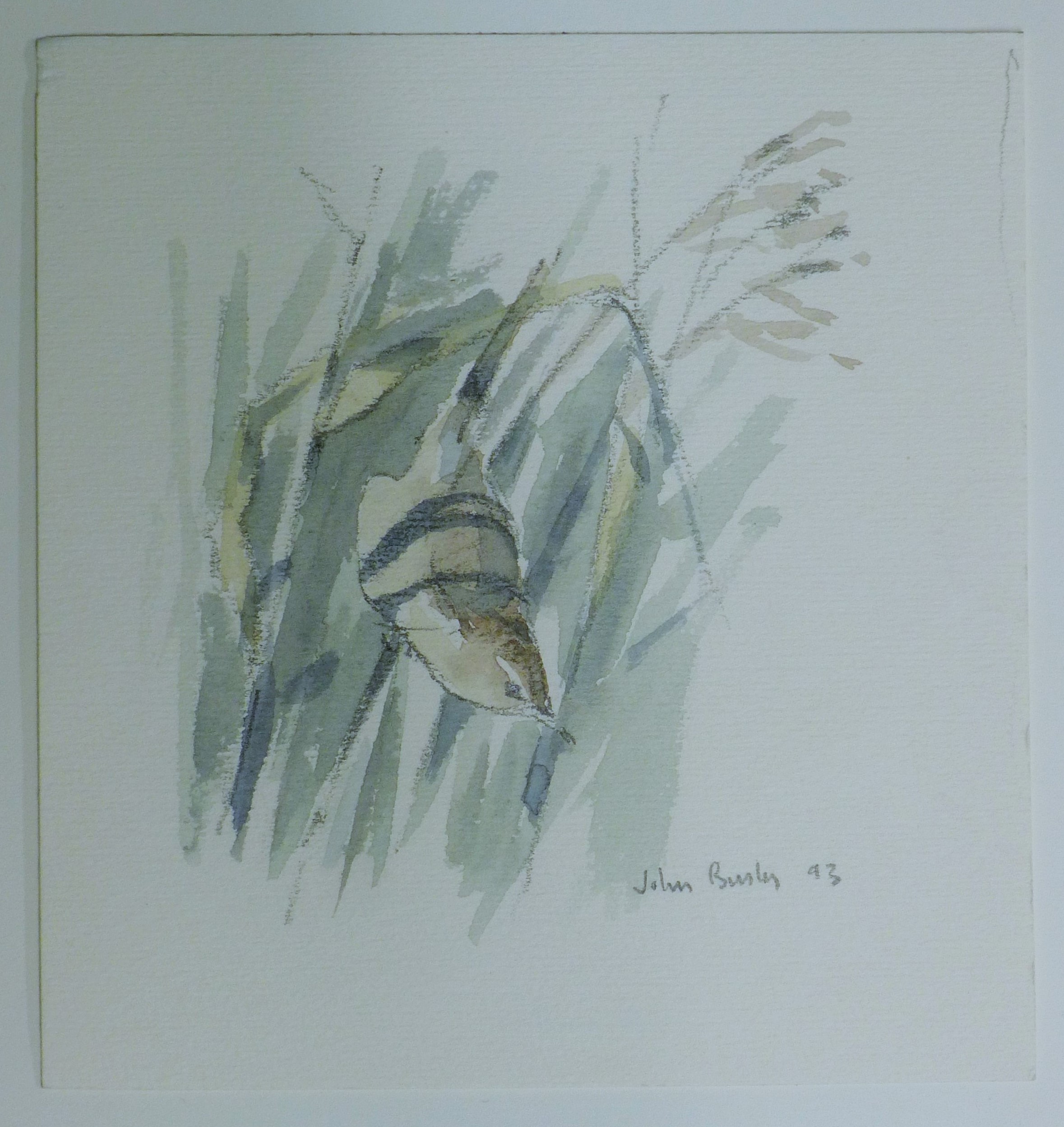 BUSBY, JOHN (1928-2015) British (AR), Seven Sketches of Birds, pencil, all signed or initialled. - Image 3 of 22