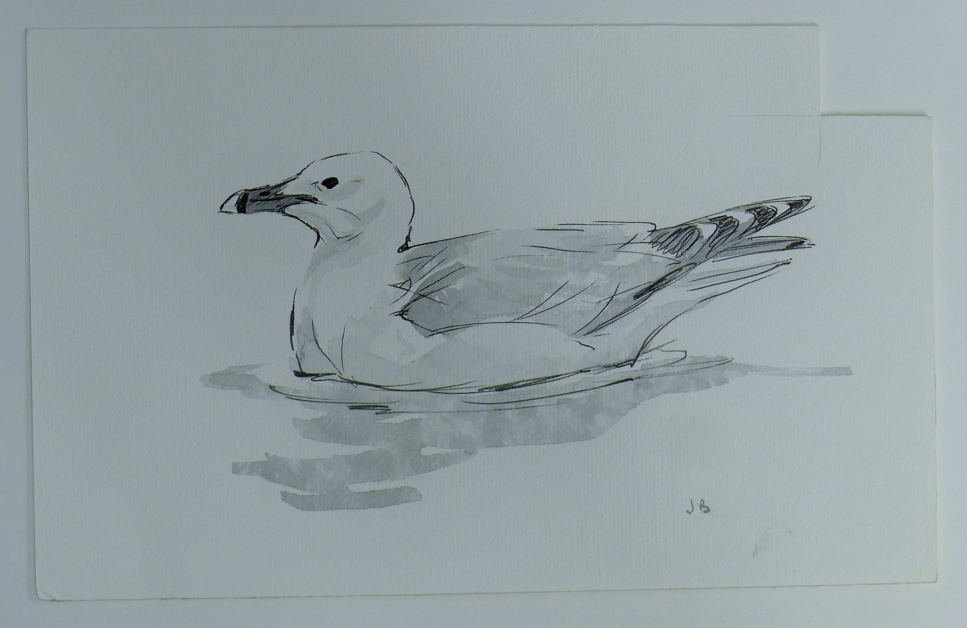 BUSBY, JOHN (1928-2015) British (AR), Seven Sketches of Birds, pencil, all signed or initialled. - Image 21 of 22