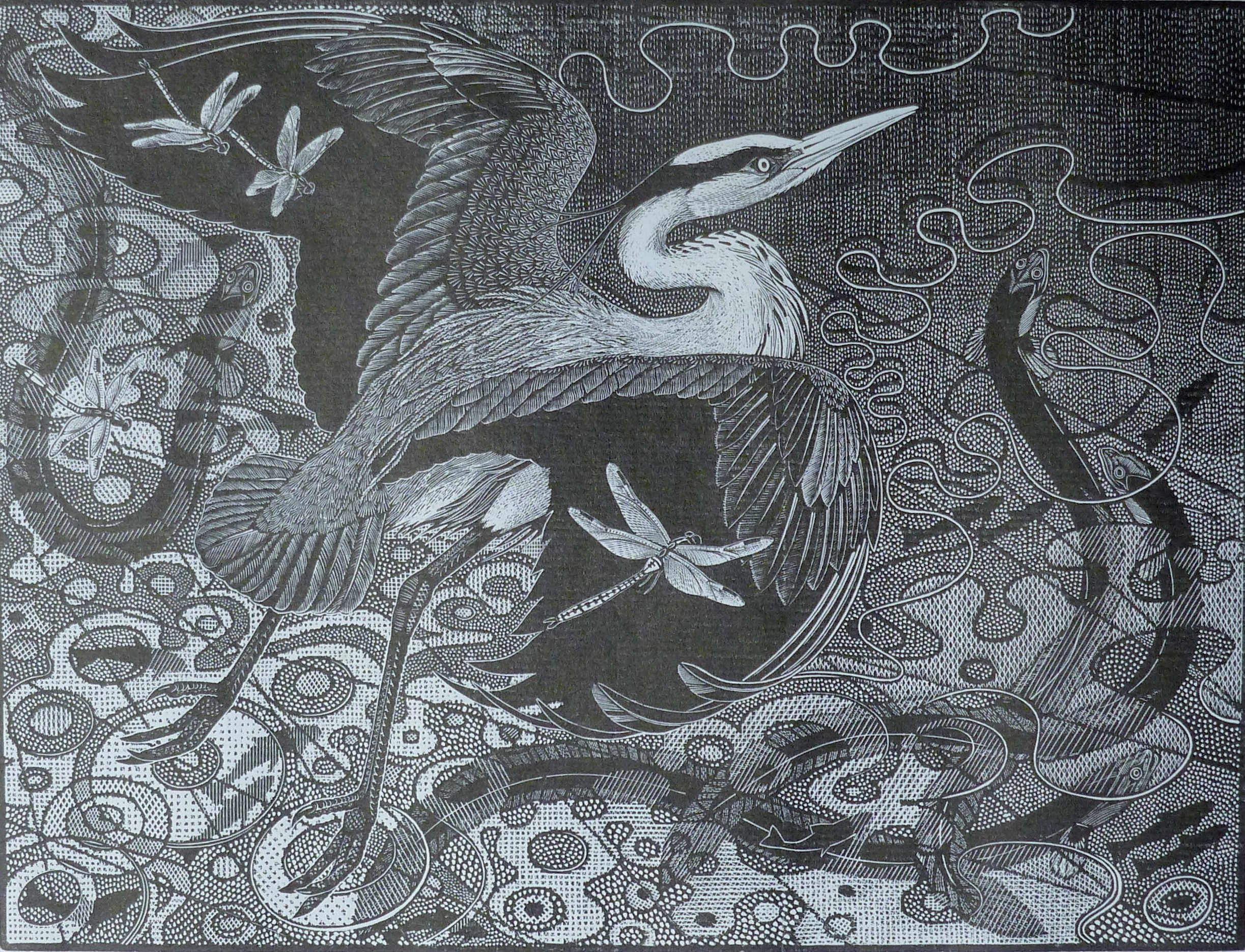 SEE-PAYNTON, COLIN (born 1946) British (AR), Grey Heron and Eel, wood engraving,