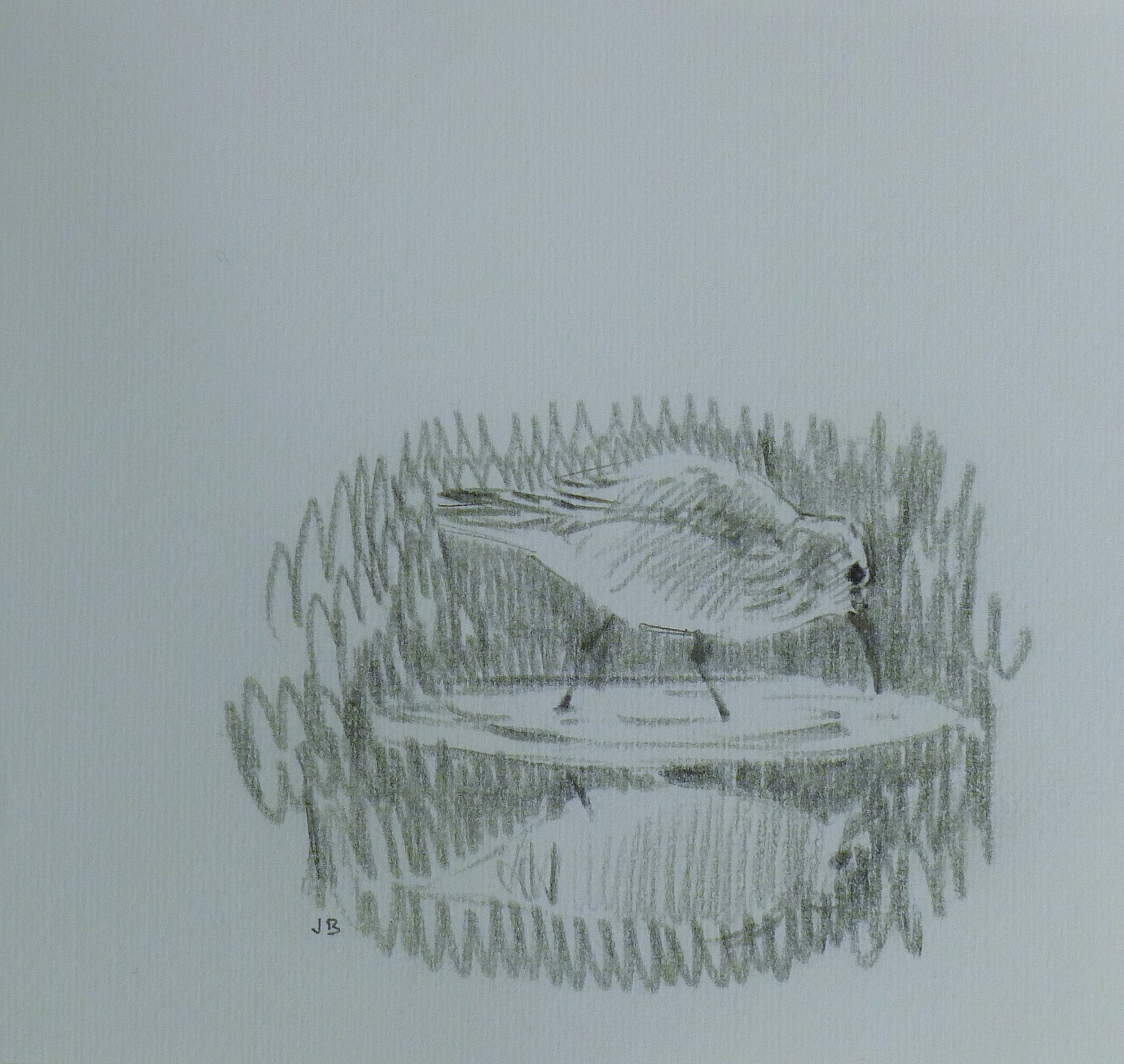 BUSBY, JOHN (1928-2015) British (AR), Seven Sketches of Birds, pencil, all signed or initialled. - Image 17 of 22