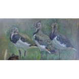 SEABY, ALLEN WILLIAM (1867-1953) British, Lapwing Chicks, gouache on board. 11 cm x 38 cm.