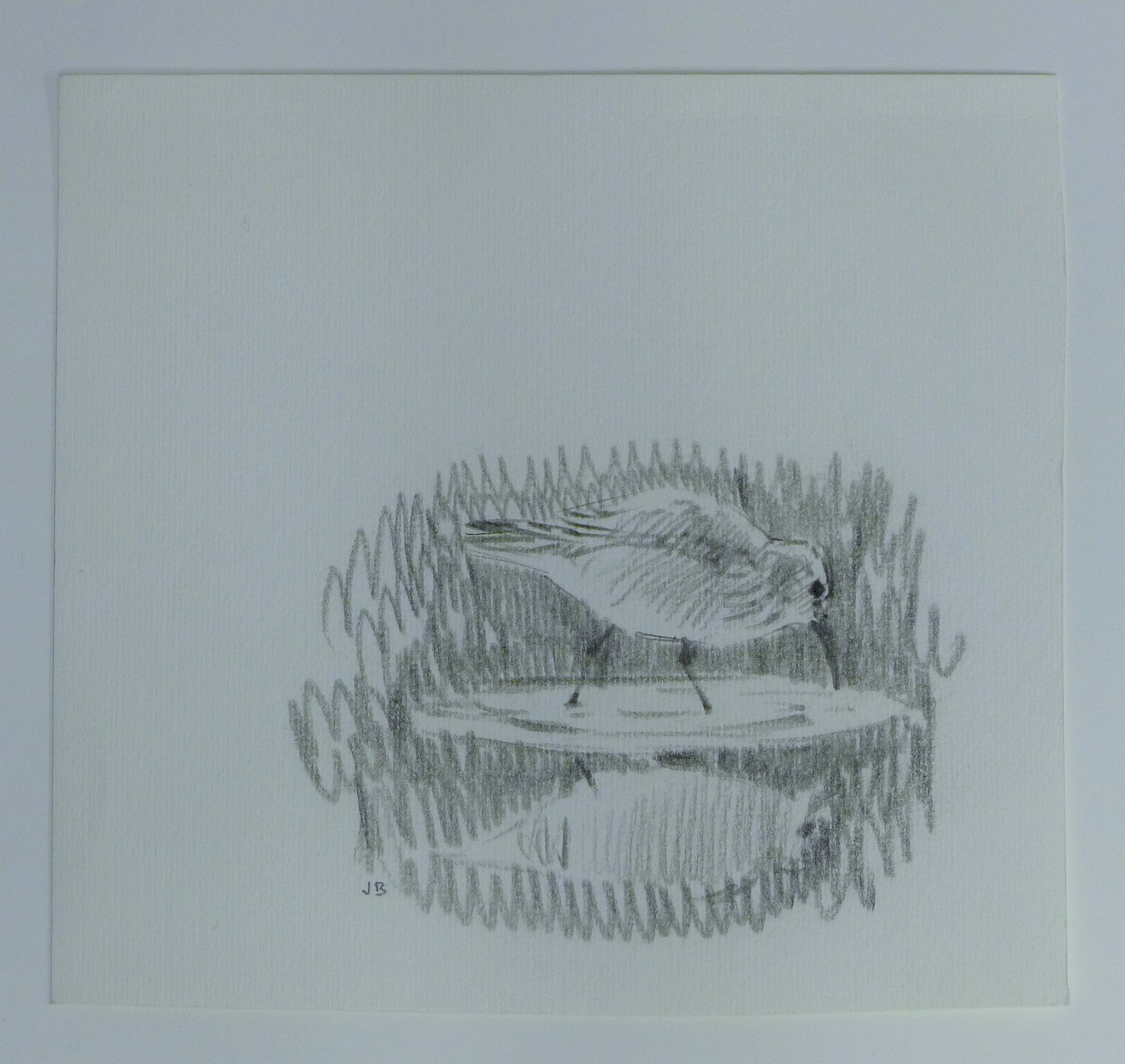 BUSBY, JOHN (1928-2015) British (AR), Seven Sketches of Birds, pencil, all signed or initialled. - Image 18 of 22