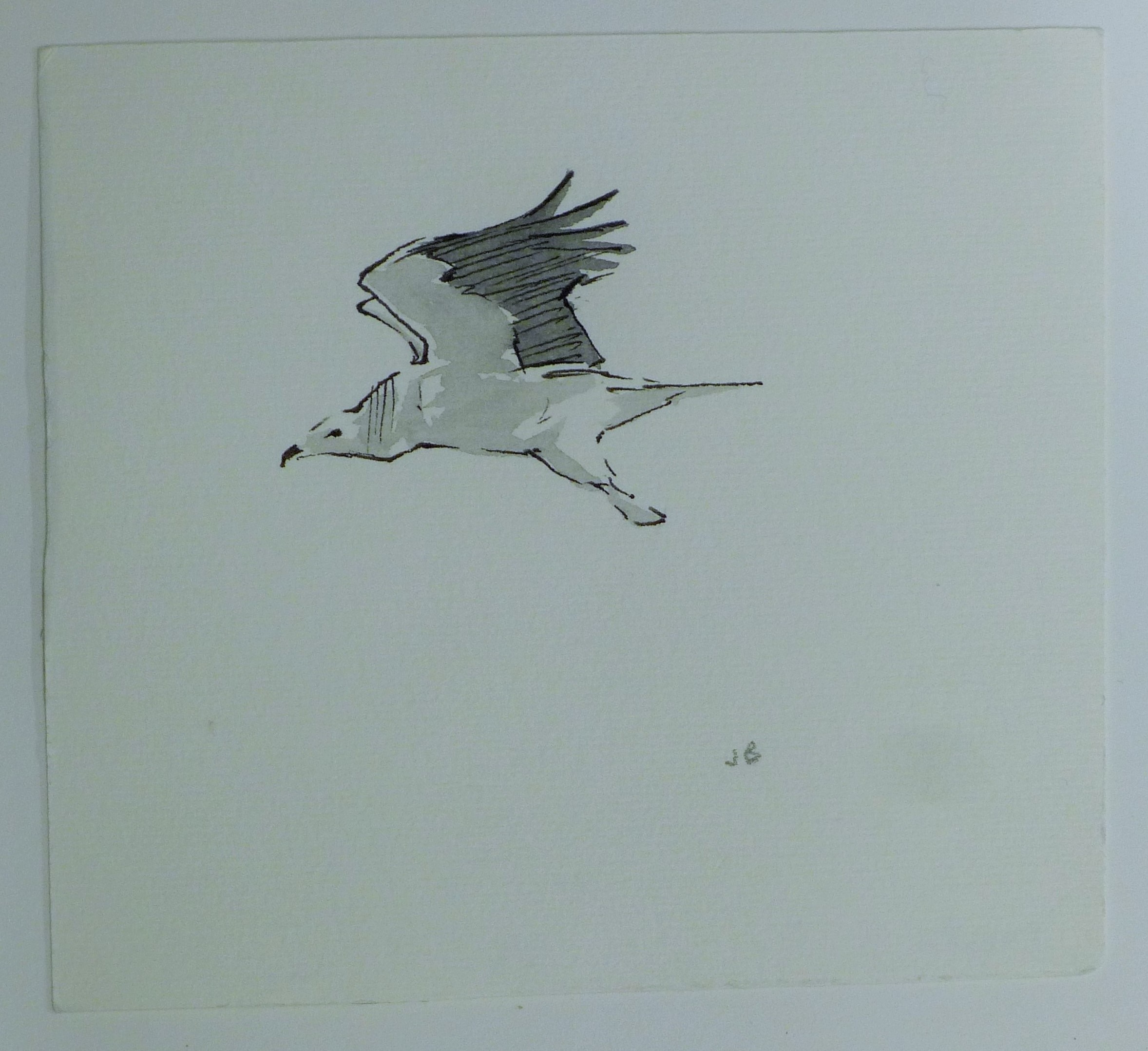 BUSBY, JOHN (1928-2015) British (AR), Seven Sketches of Birds, pencil, all signed or initialled. - Image 9 of 22