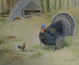 GREEN, ROLAND (1896-1971) British (AR), Turkey and Cockerel, watercolour, signed. 24 cm x 29 cm.