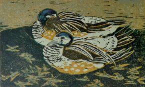 HALL, PAULINE S (1918-2007) British (AR), Chiloe Wigeon, woodcut, signed, artist's proof.