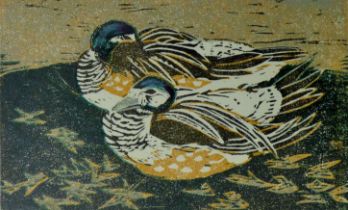 HALL, PAULINE S (1918-2007) British (AR), Chiloe Wigeon, woodcut, signed, artist's proof.