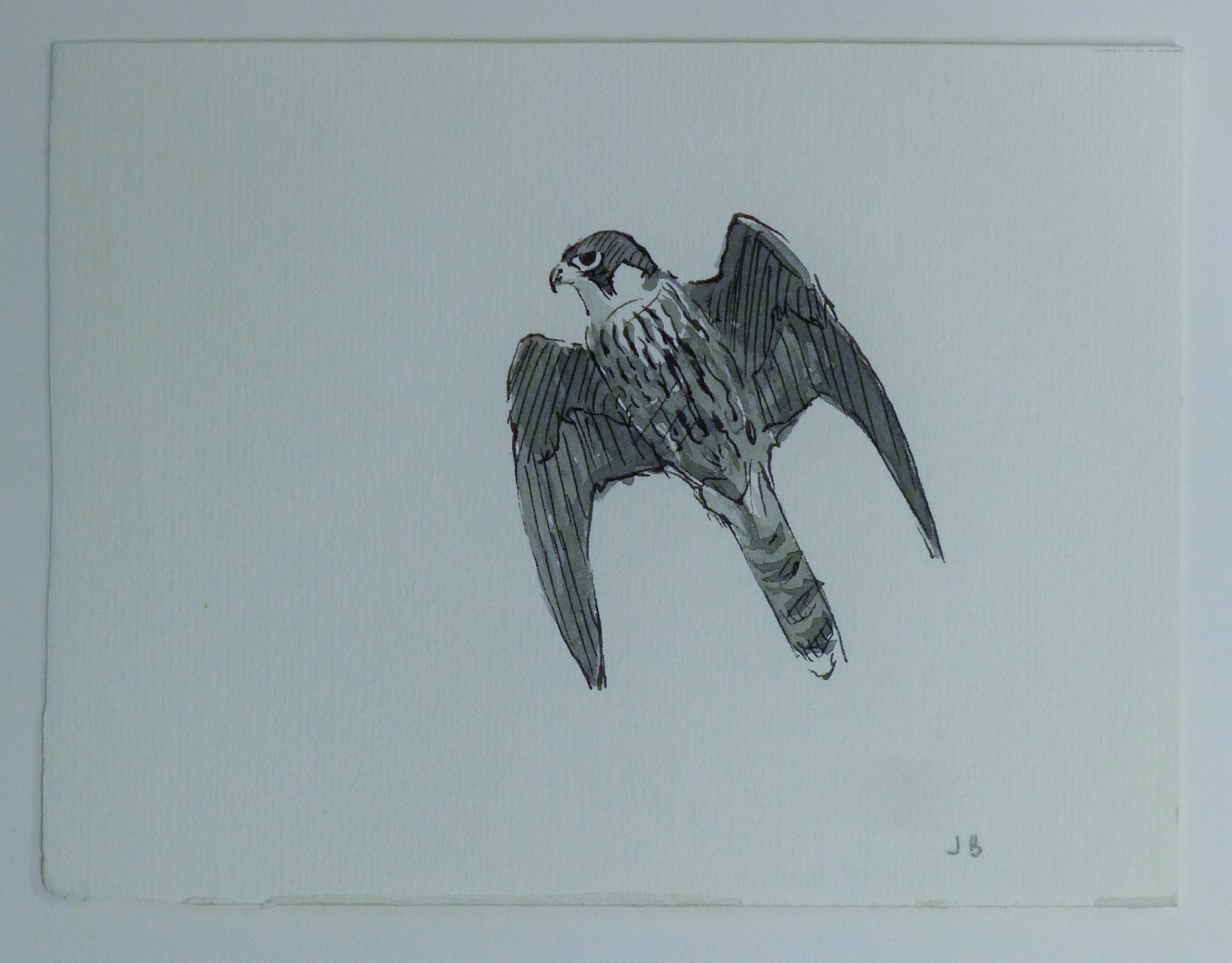 BUSBY, JOHN (1928-2015) British (AR), Seven Sketches of Birds, pencil, all signed or initialled. - Image 15 of 22