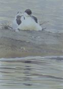 GILLMOR, ROBERT (1936-2022) British (AR), Brooding Avocet, print, signed and numbered 47 of 350,