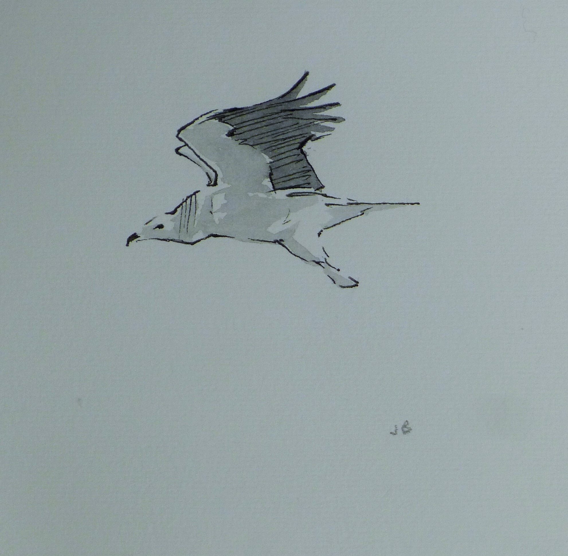 BUSBY, JOHN (1928-2015) British (AR), Seven Sketches of Birds, pencil, all signed or initialled. - Image 8 of 22