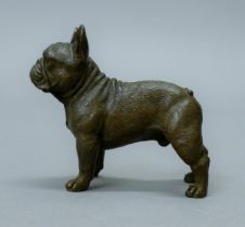 A bronze model of a French bulldog. 8 cm long.