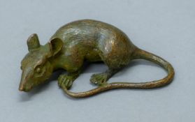 A bronze model of a rat. 805 cm long.