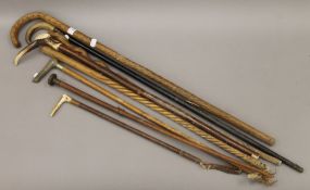 A quantity of various walking sticks, etc. The largest 88 cm high.