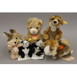 A collection of modern Steiff teddy bears. The largest 28 cm high.