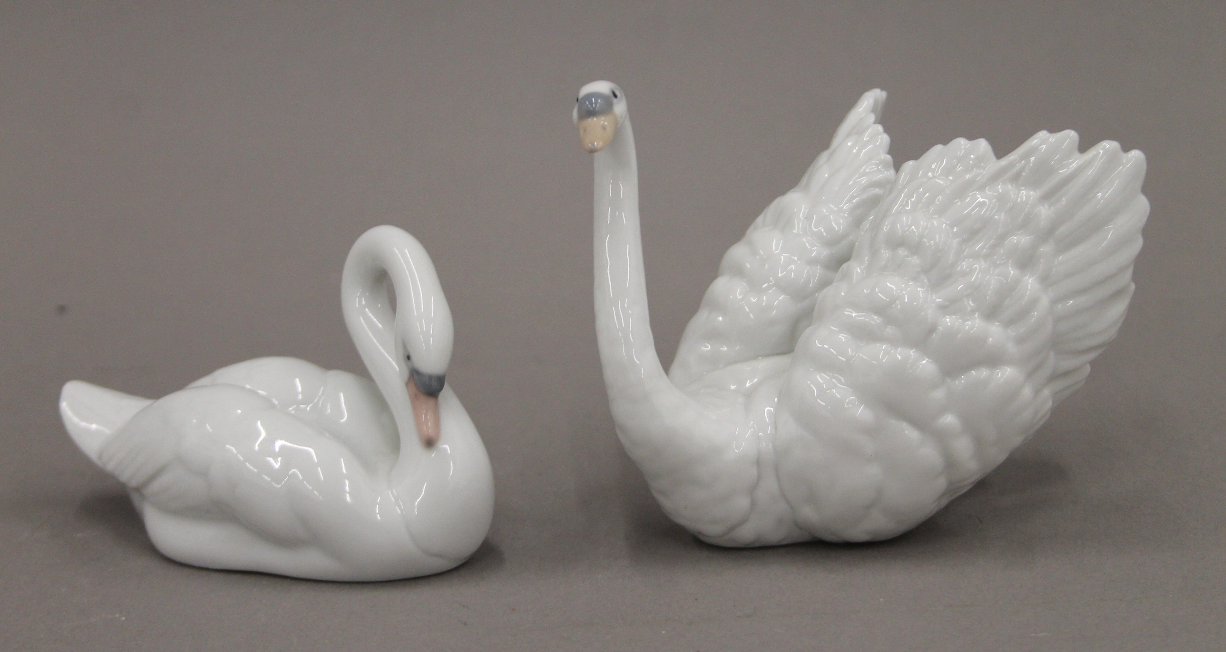 A collection of Lladro and NAO porcelain swans. The largest 34 cm high. - Bild 11 aus 12