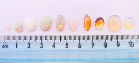 Ten various loose opals. Largest 1 cm x 1.5 cm.