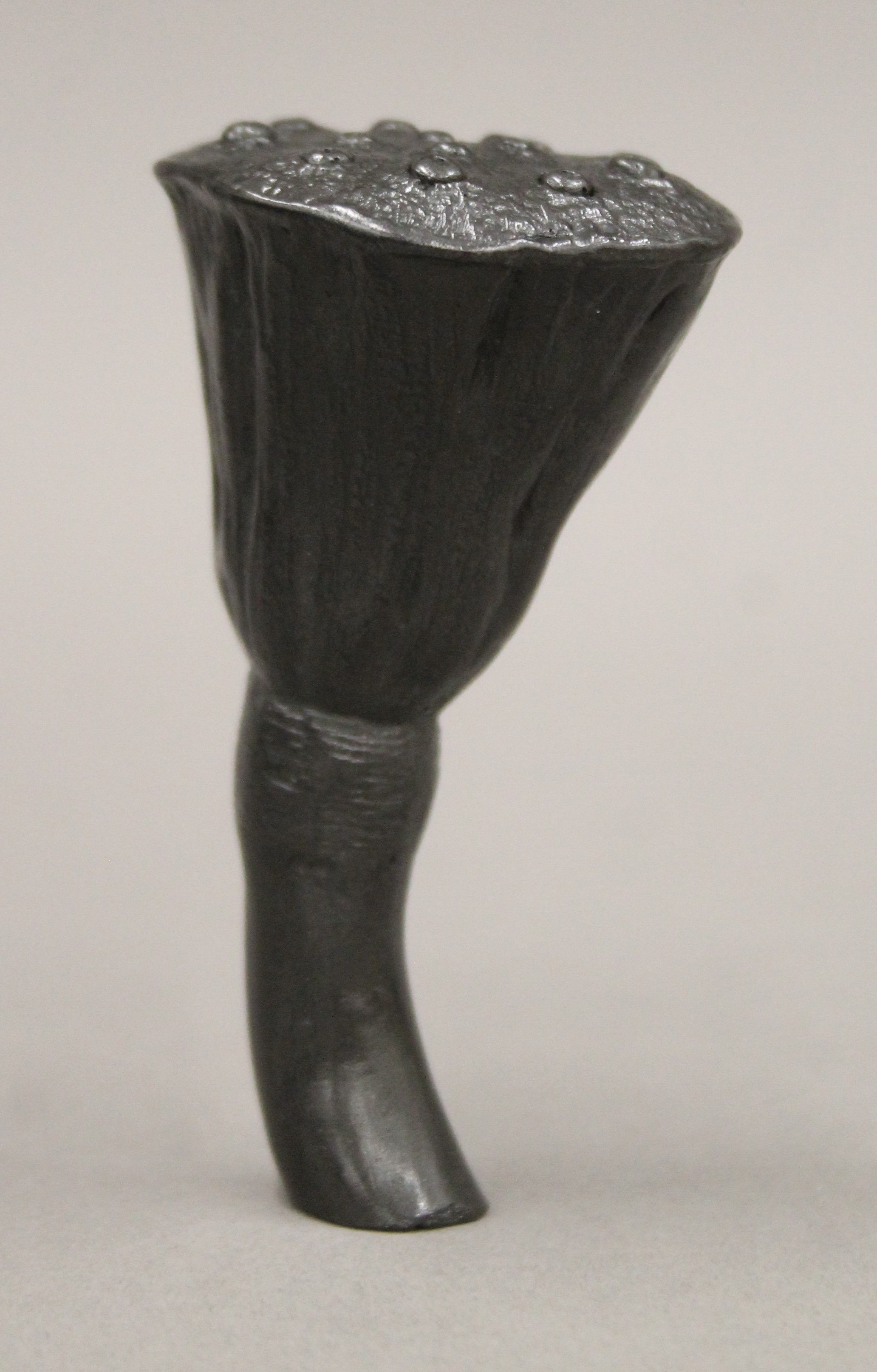 A boxed Agelio Batle botanical graphite sculpture. - Image 2 of 6