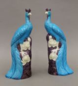 A pair of Chinese porcelain turquoise models of phoenix. 25 cm high.