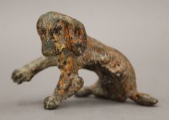 A cold-painted bronze model of a spaniel. 5.5 cm high.