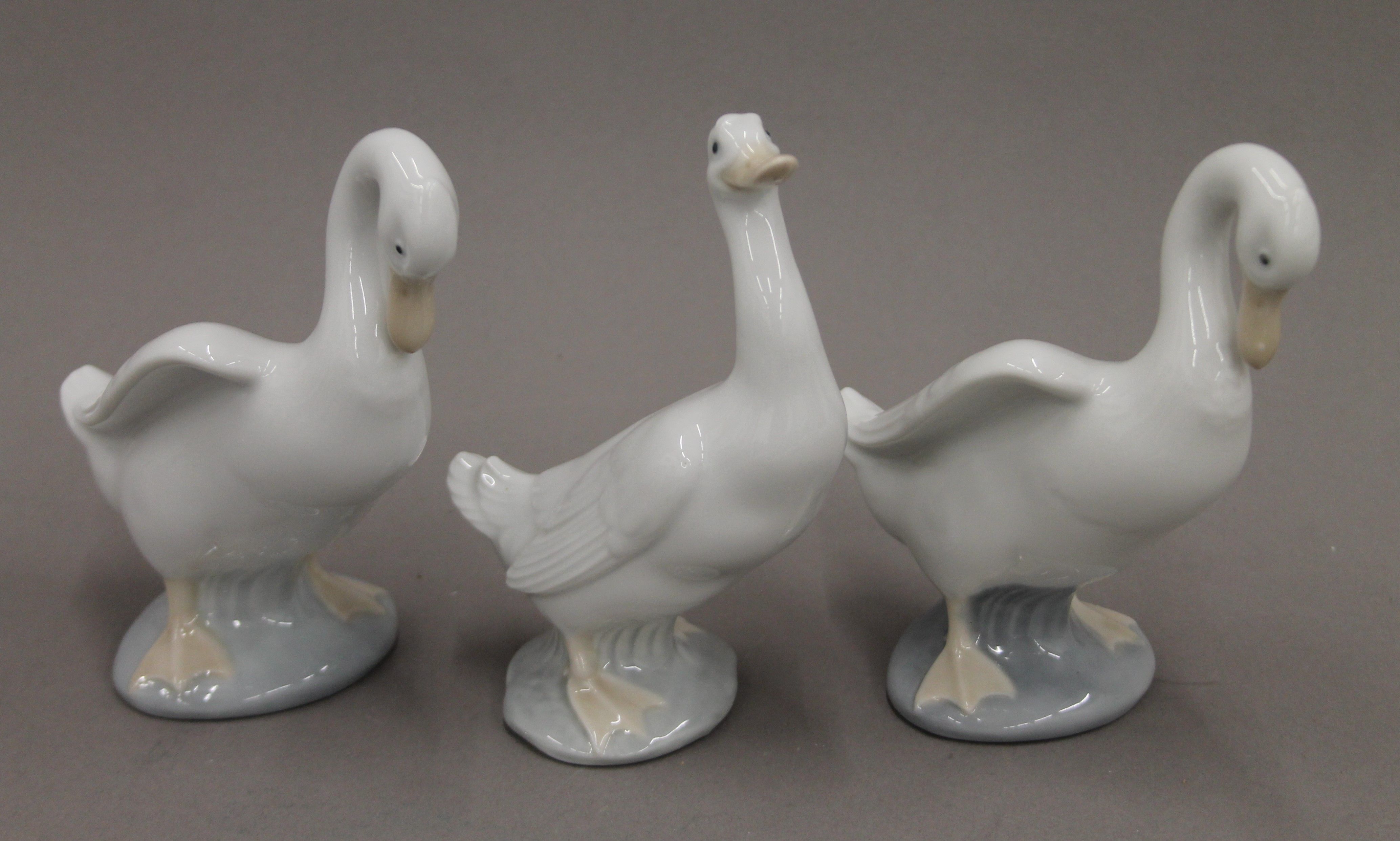A collection of Lladro and NAO porcelain swans. The largest 34 cm high. - Bild 6 aus 12