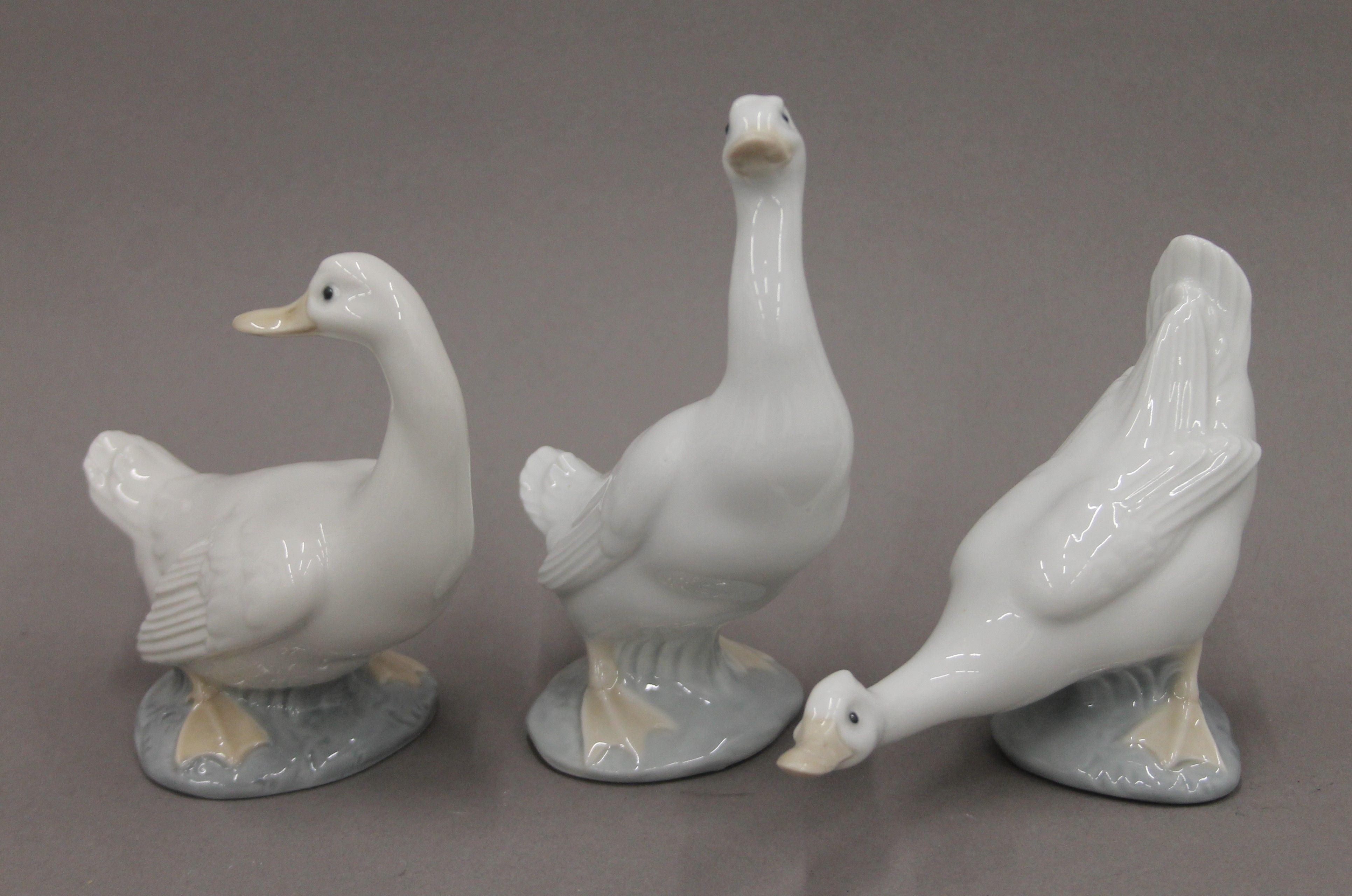A collection of Lladro and NAO porcelain swans. The largest 34 cm high. - Bild 3 aus 12