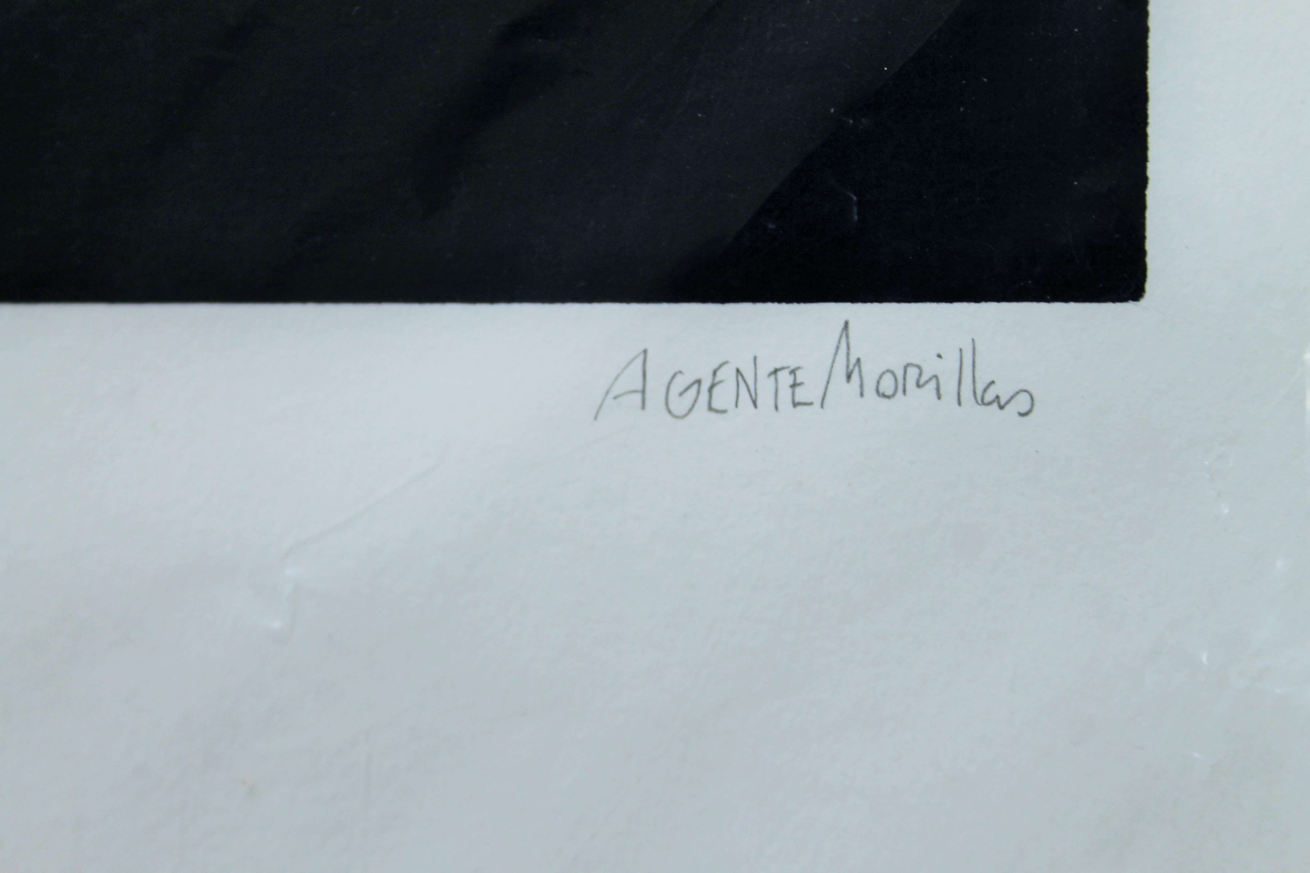 AGENTEMORILLAS, five signed limited edit - Image 8 of 9