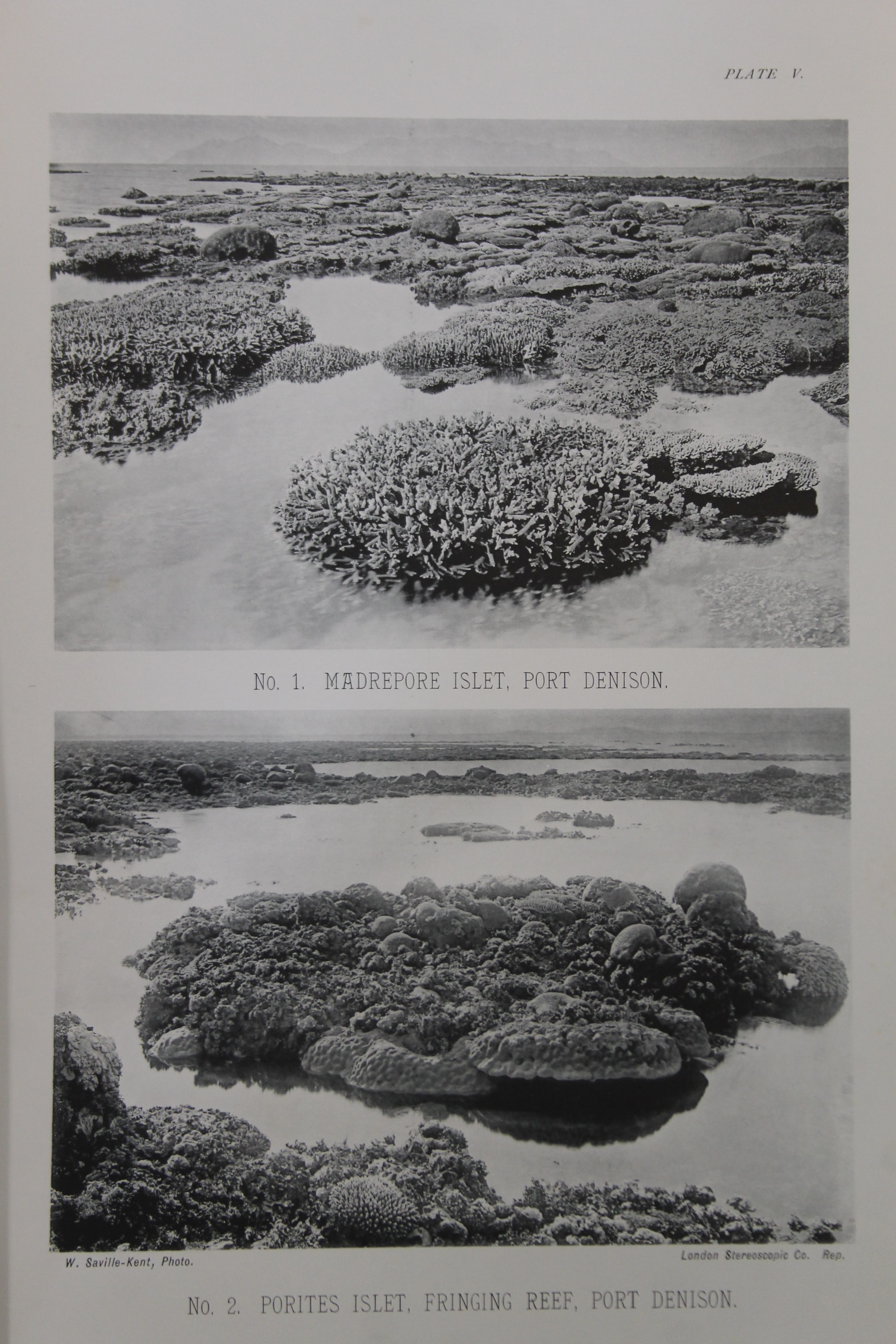 Saville-Kent, (William), The Great Barrier Reef of Australia; Its Products and Potentialities, - Image 8 of 9