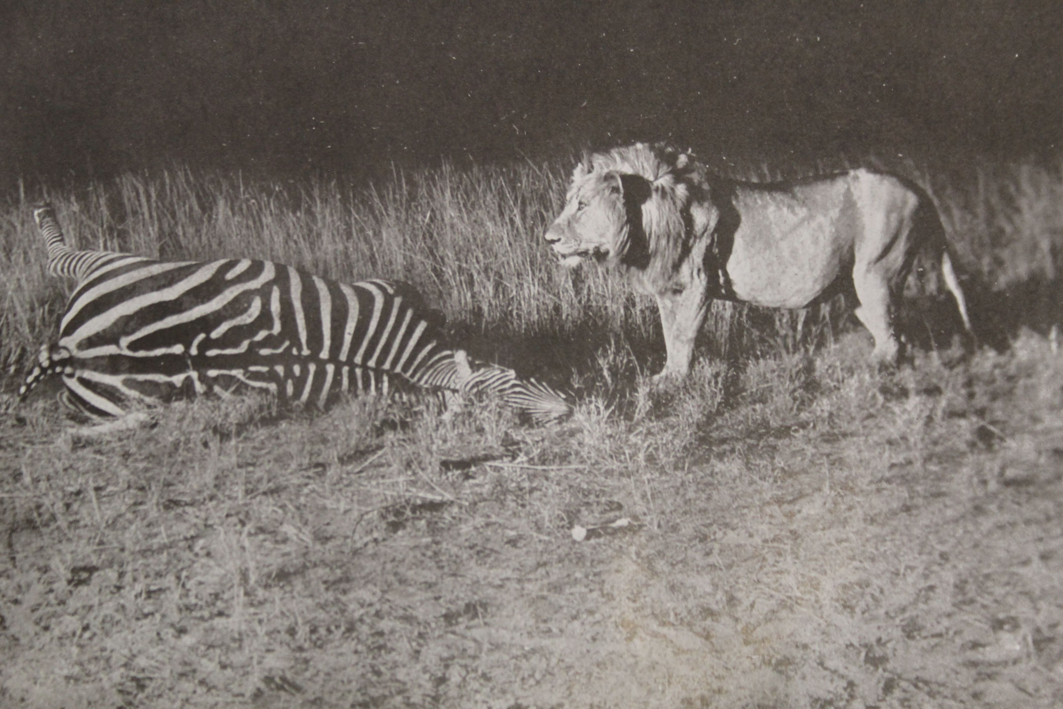 Johnston (Sir Harry H), British Central Africa, first edition, original cloth, - Image 29 of 52